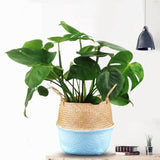 Handmade Bamboo Storage Baskets Foldable Laundry Straw Patchwork Wicker Rattan Seagrass Belly Garden Flower Pot Planter Basket