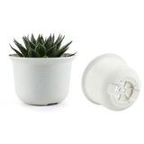 T4U Plastic Round flowerpot for cactus succulent Planter flower pots bonsai pot Plant Pot garden decoration