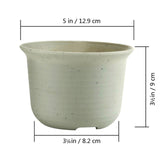 T4U Plastic Round flowerpot for cactus succulent Planter flower pots bonsai pot Plant Pot garden decoration