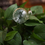 12 Shapes Glass Automatic Self Watering Bird Watering Cans Flowers Plant Decorative Clear Glass Watering Device Houseplant