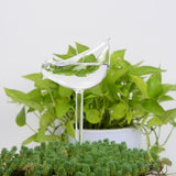 12 Shapes Glass Automatic Self Watering Bird Watering Cans Flowers Plant Decorative Clear Glass Watering Device Houseplant