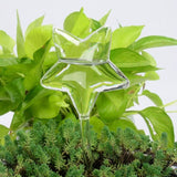 12 Shapes Glass Automatic Self Watering Bird Watering Cans Flowers Plant Decorative Clear Glass Watering Device Houseplant