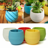 Mini Colourful Round Plastic Plant Flower Pot Garden Home Office Decor Planter Desktop Flower Pots  for Succulent plants