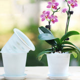 Transparent Orchid Flower Container Pouch Root Plastic Flower Container Nursery Box Home Garden Supplies Wholesale