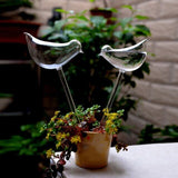 New Cute House Plants Flowers Automatic Water Feeder Auto Watering Devices Transparent Glass Water Feeder 6 Shape