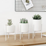 Indoor/Garden Iron Wire Metal Rack Ceramic Flower Pot Plant Display Stand Holder