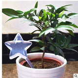 Auto Plant Self-Watering Aqua Globes Watering Feeder Indoor Modern Plastic Plant Self Watering Bulb Waterer Garden Pot Device