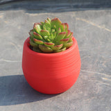 1Pcs Mini Round Plastic Plants Desktop Plant Bonsai Flower Pots with Wooden Tray for Garden Home Office Decoration Drop Shipping