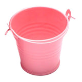 Garden Balcony Succulent Plant Flowerpot MIni Metal Hanging Pots  Home Office Decor Iron Bucket with Handle