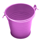 Garden Balcony Succulent Plant Flowerpot MIni Metal Hanging Pots  Home Office Decor Iron Bucket with Handle